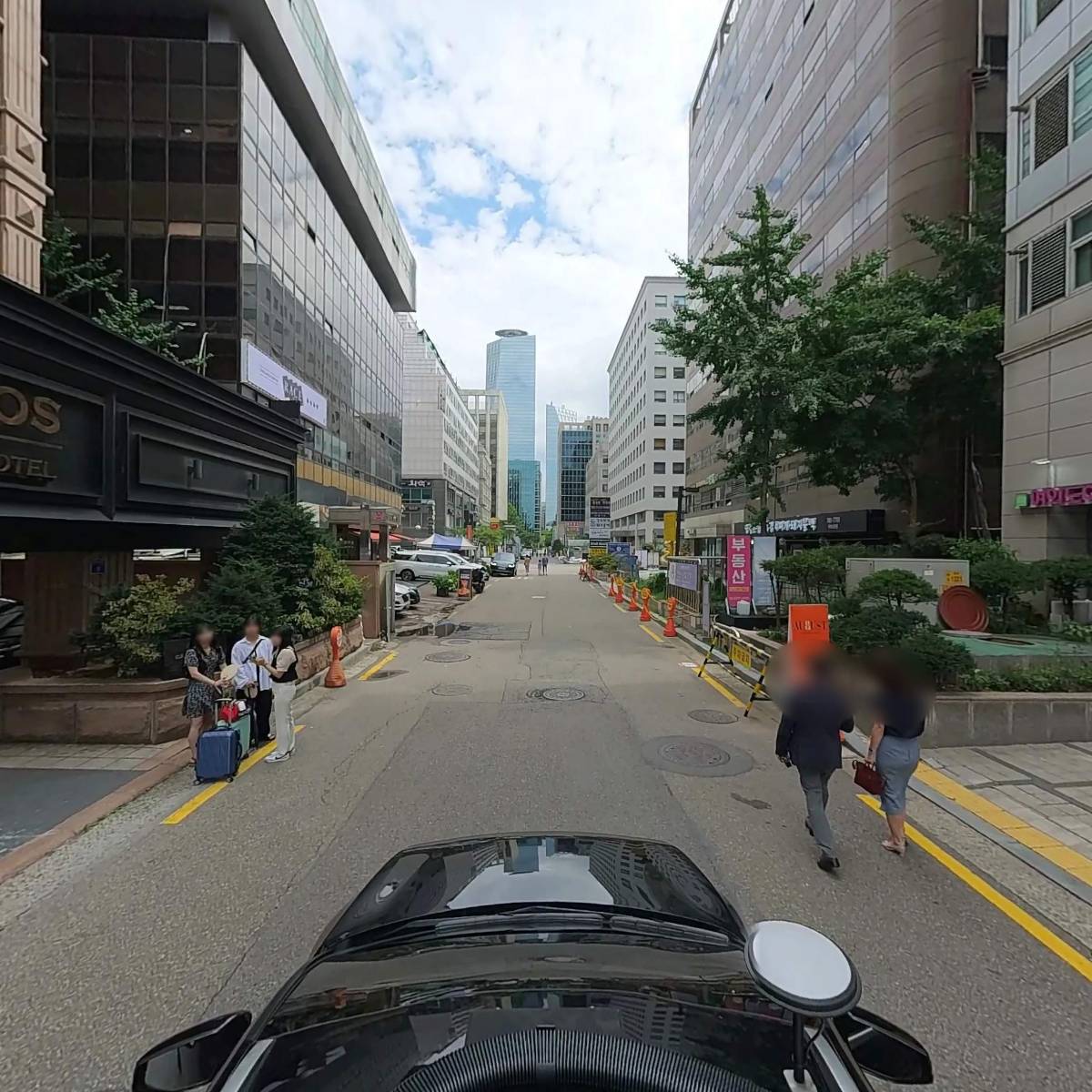 에버그린_4