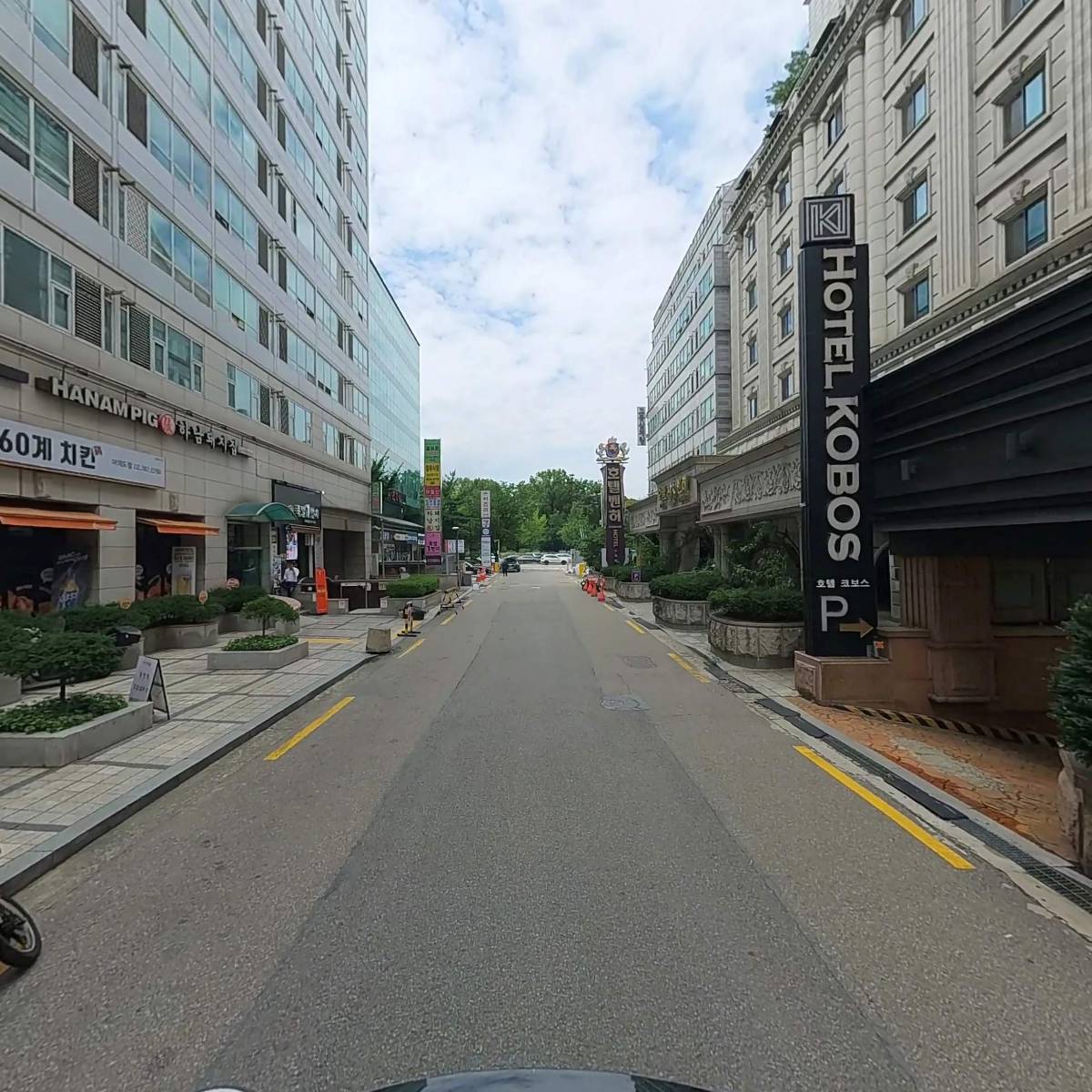 에버그린_2