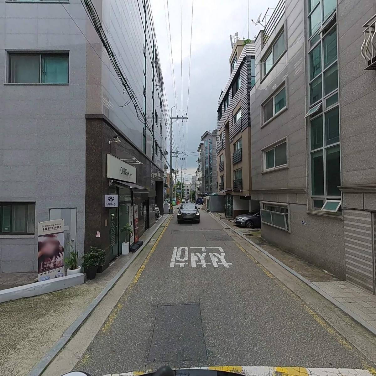 스타일넬라_2