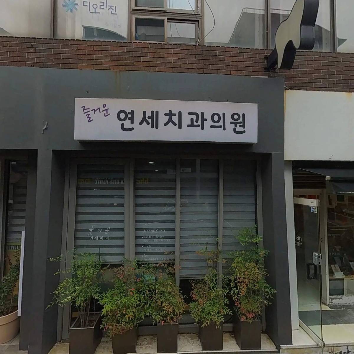 담장옆에국화꽃_3