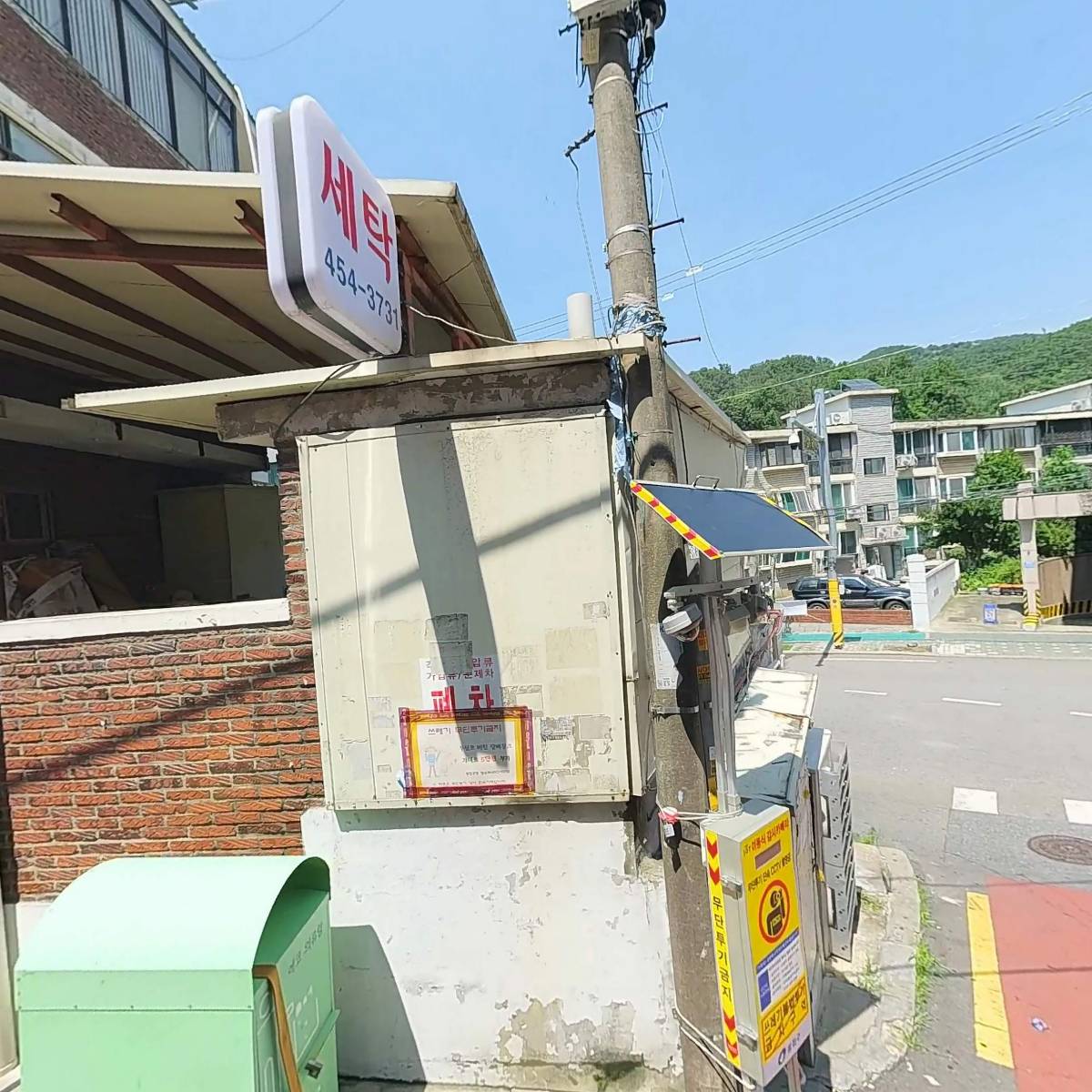 선인장두부_3