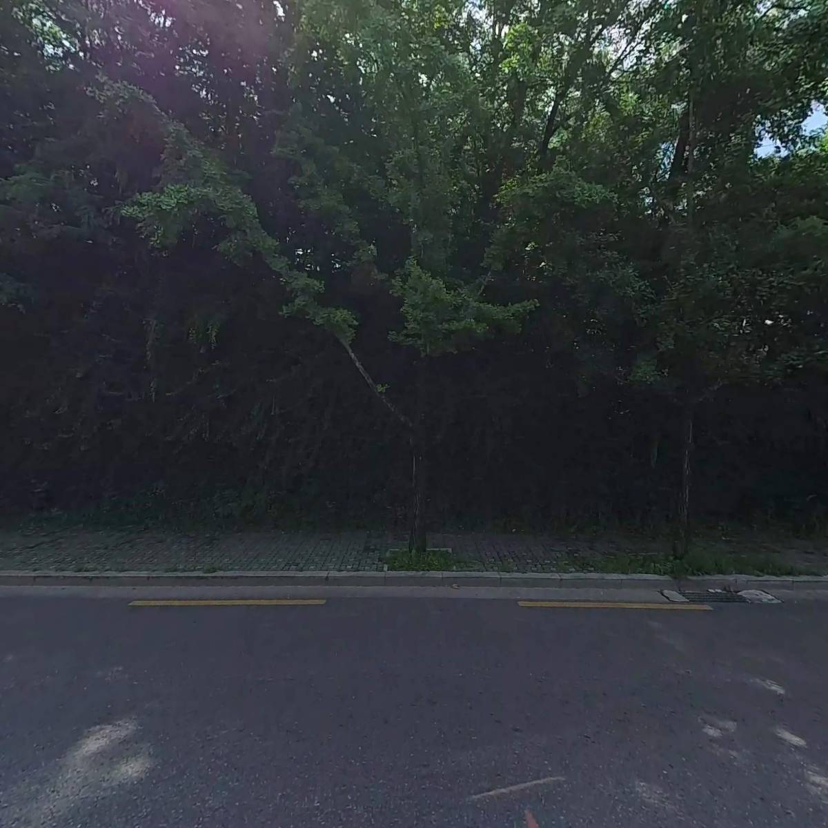 창동진실교회