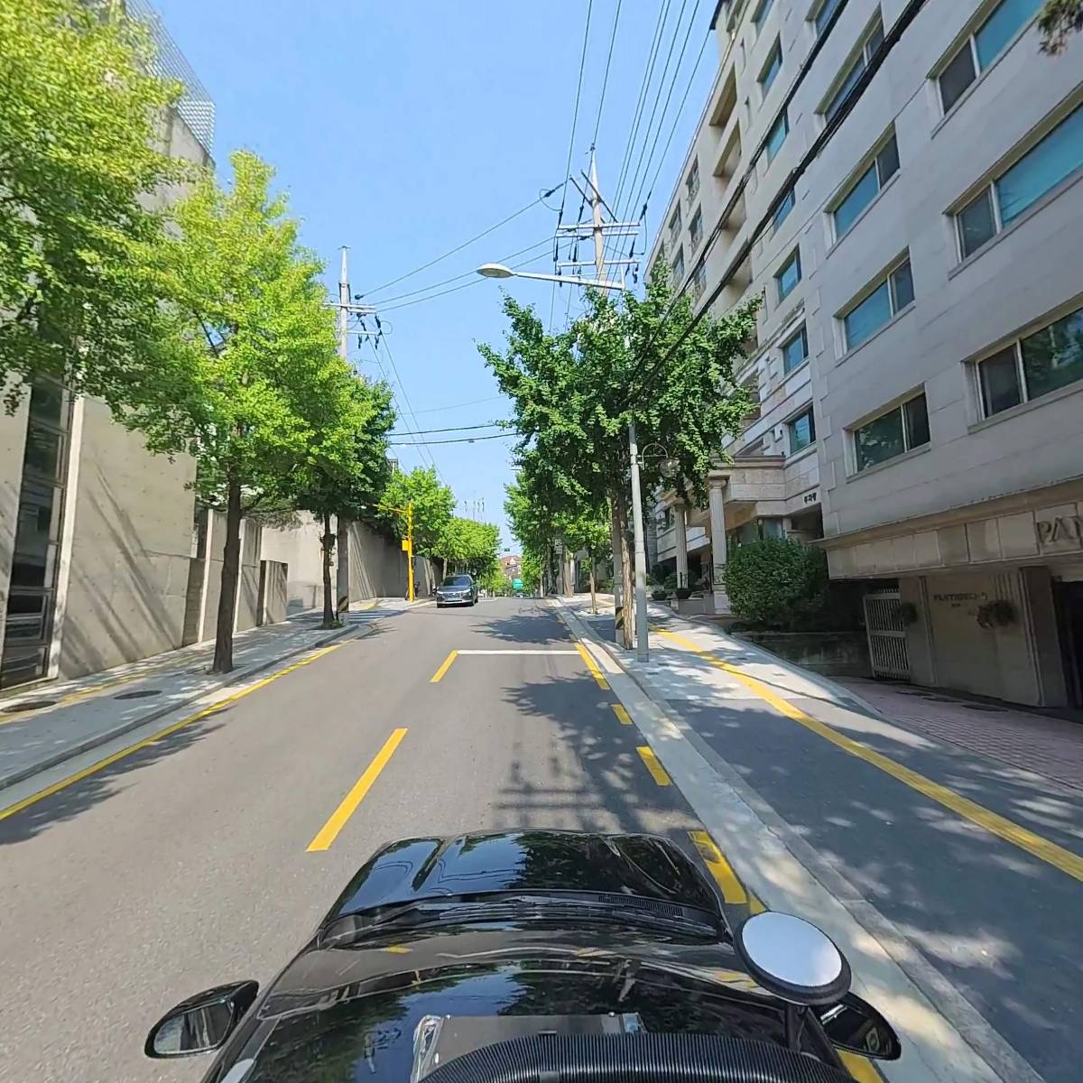위스(wythe)138(박정희)_4