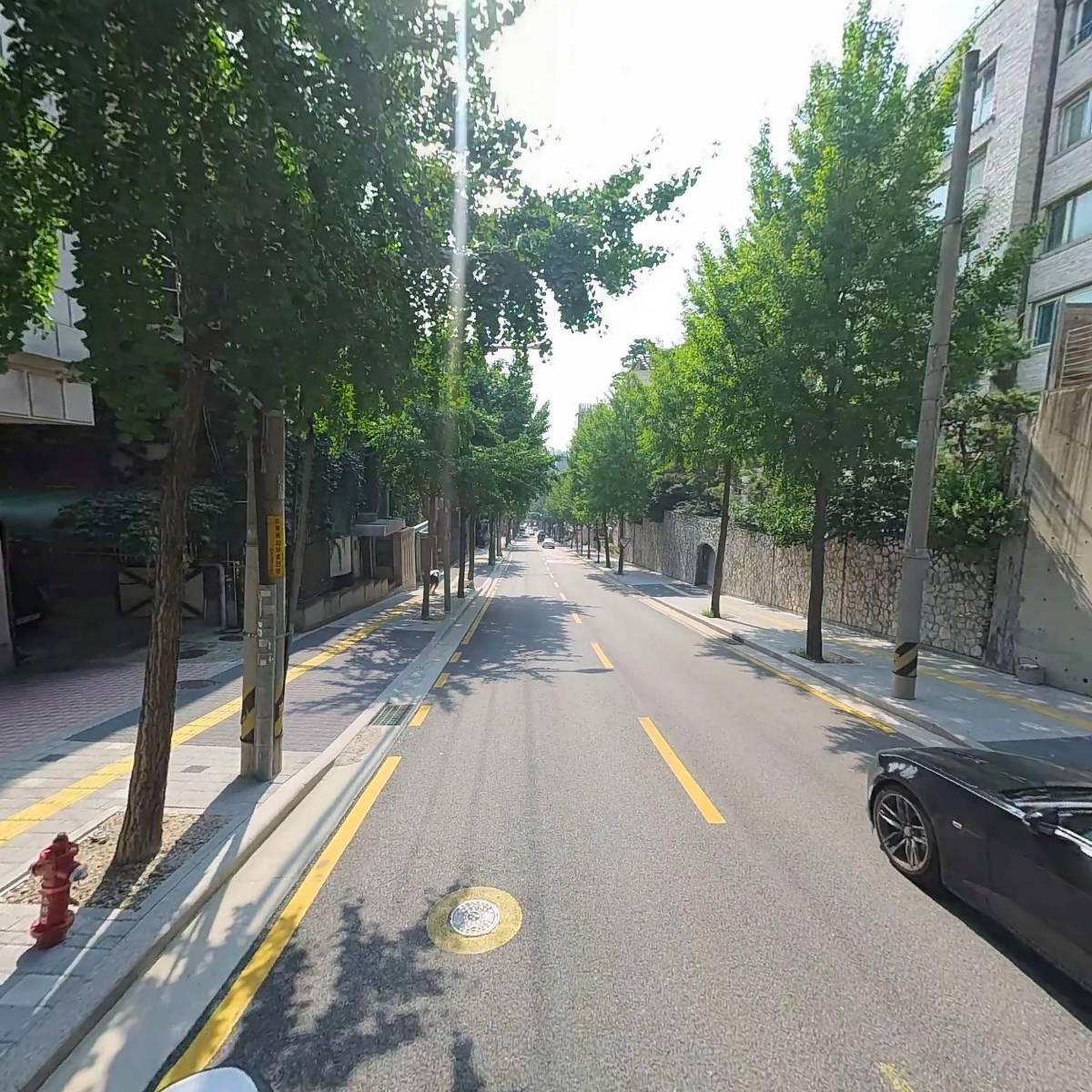 위스(wythe)138(박정희)_2