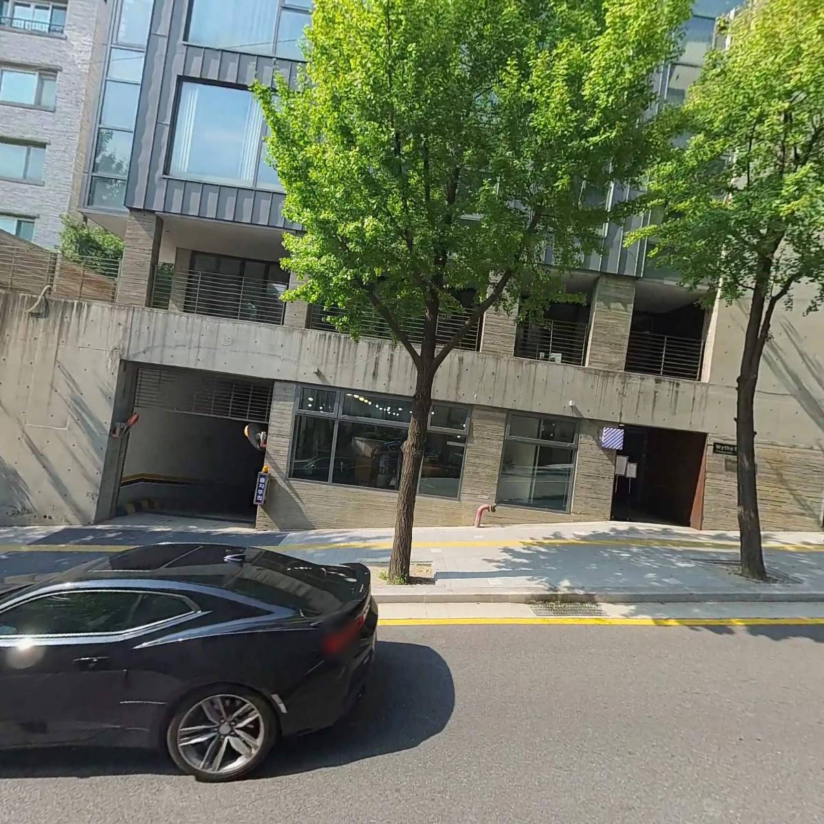 위스(wythe)138(박정희)_3