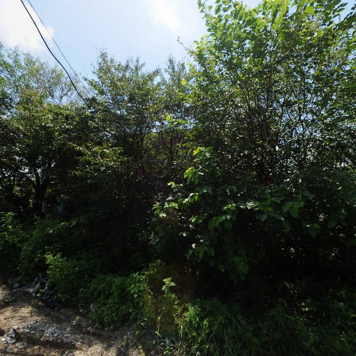 (주) 에이디알에프코리아_3