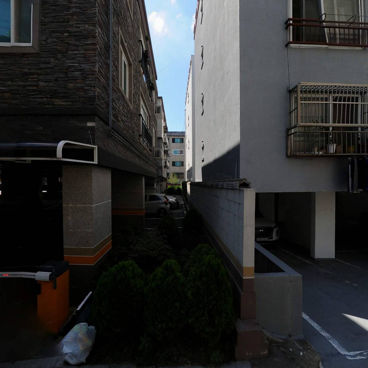 네세네