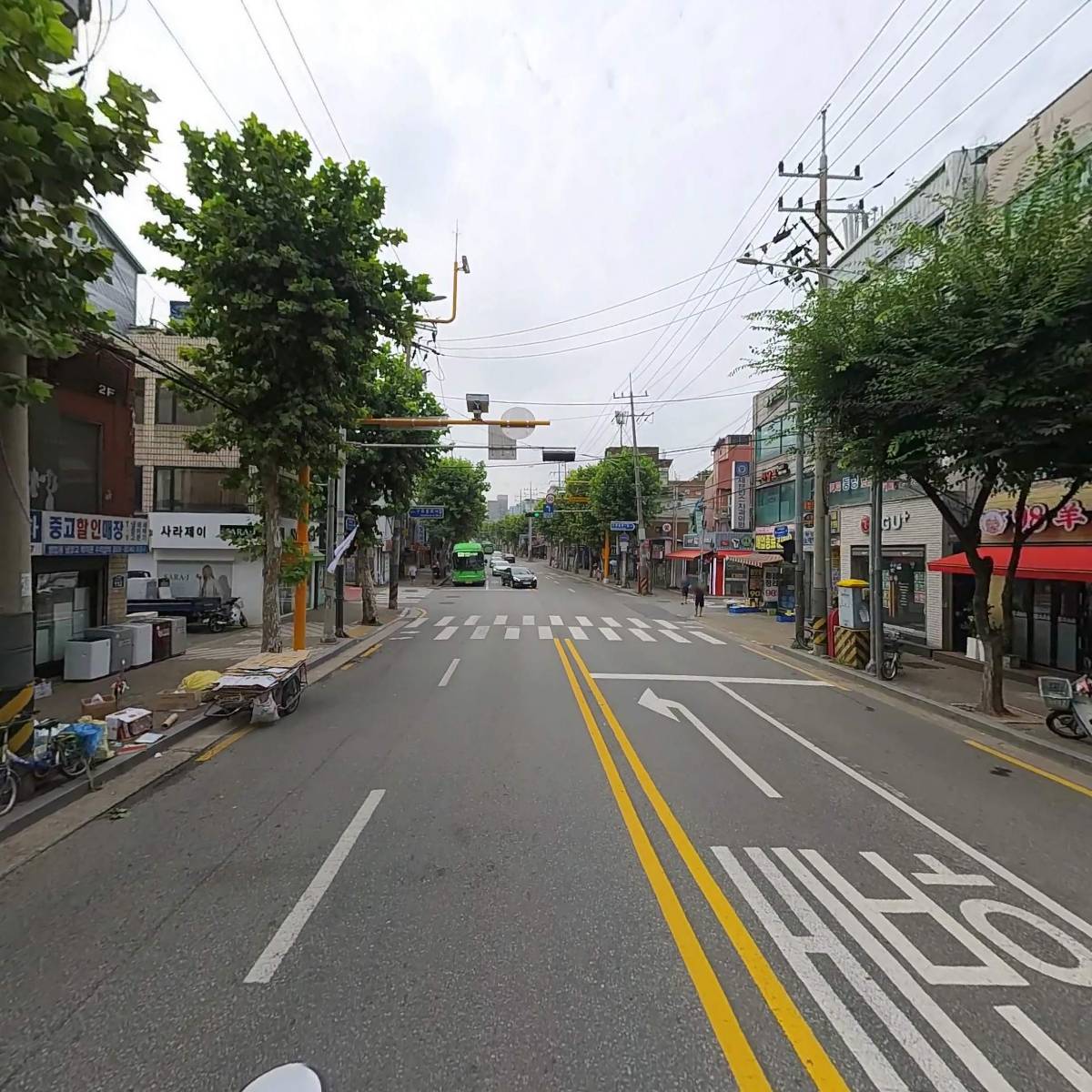 푸른동물병원_2