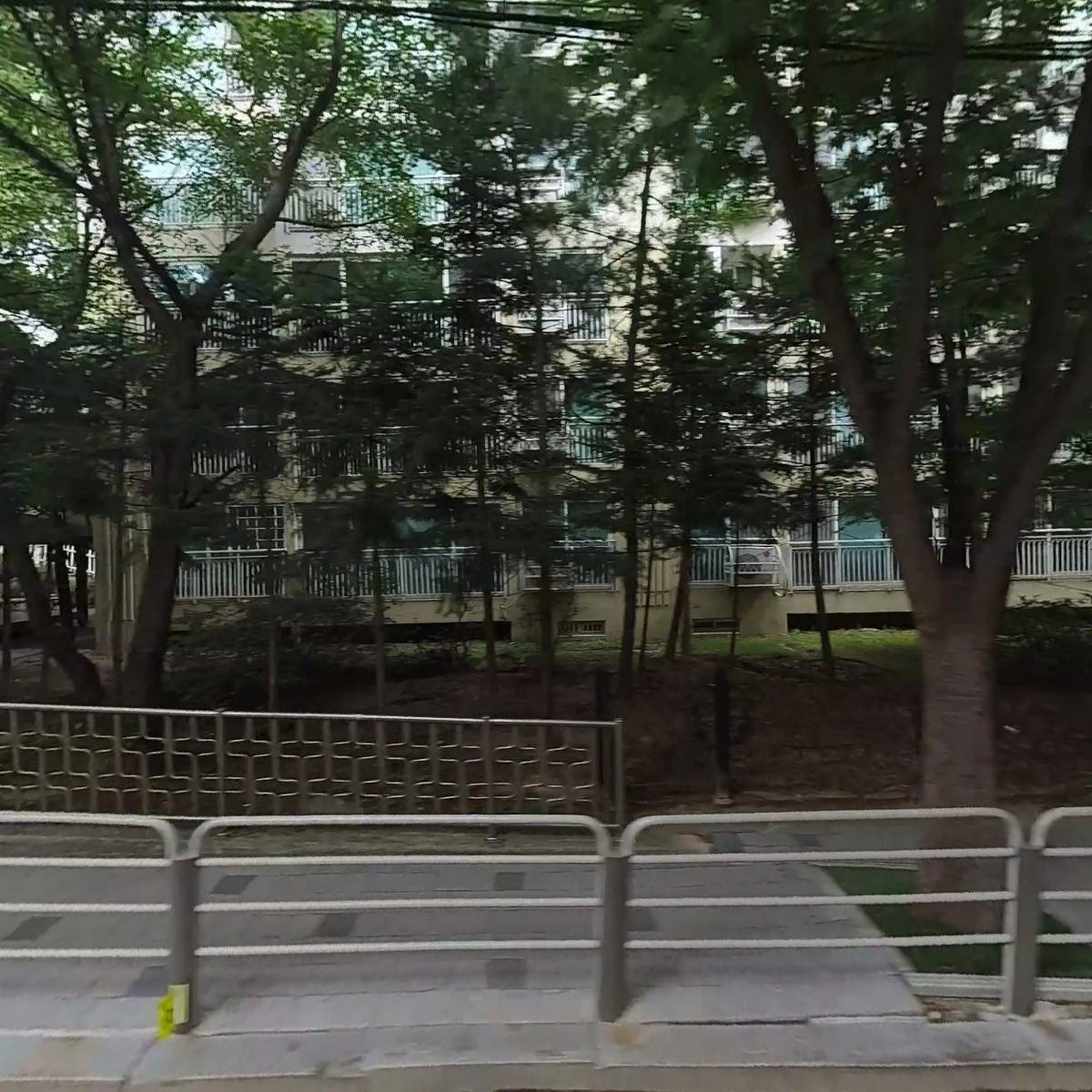 탑초이스