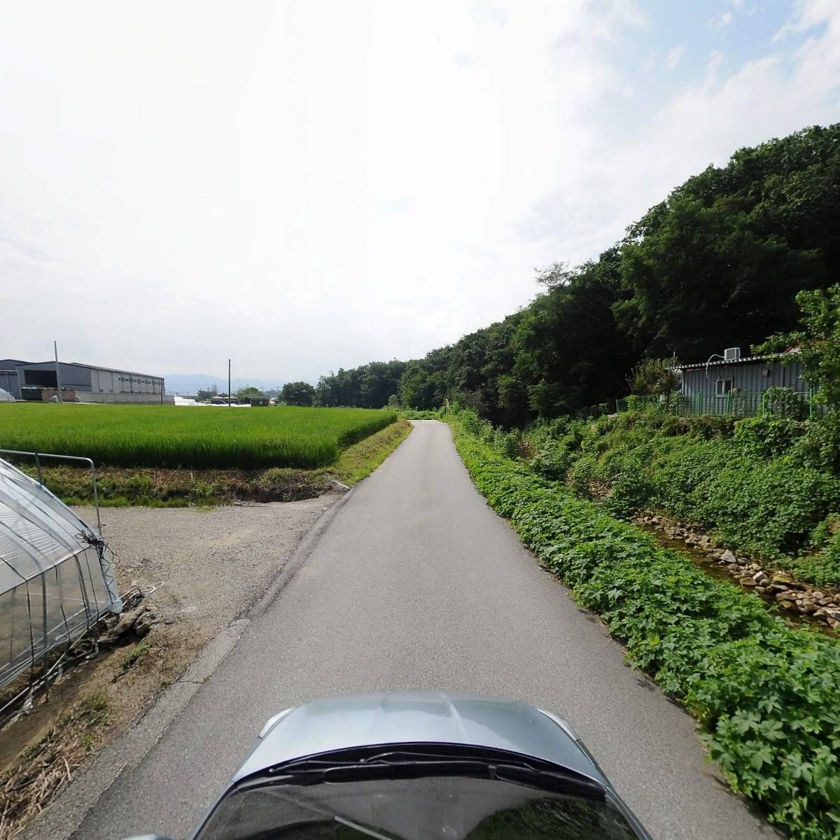 (주)일신분체_4