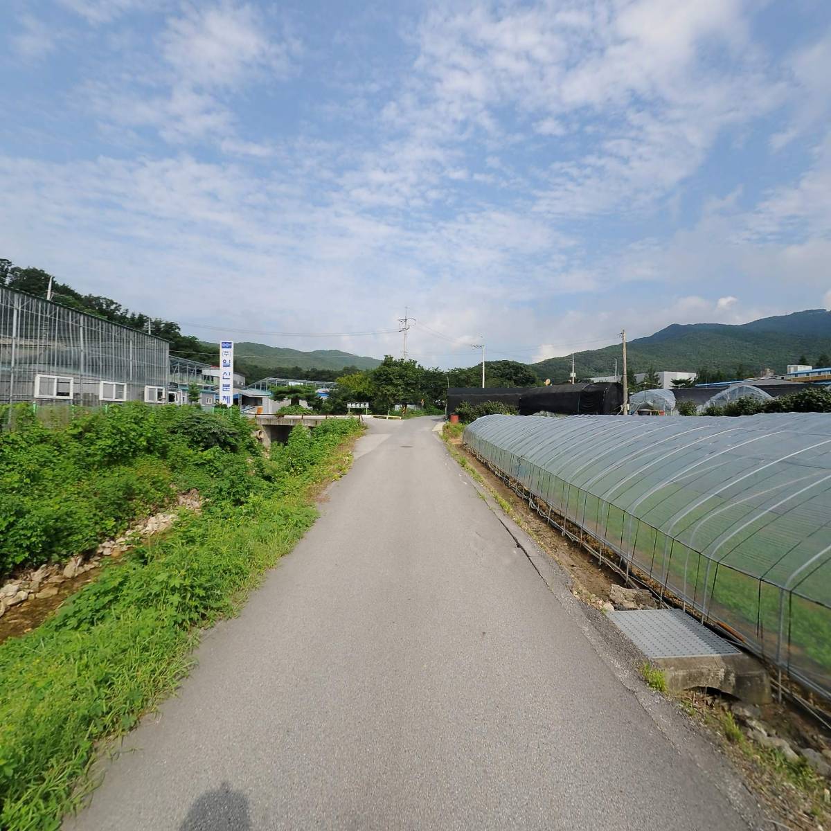 (주)일신분체_2