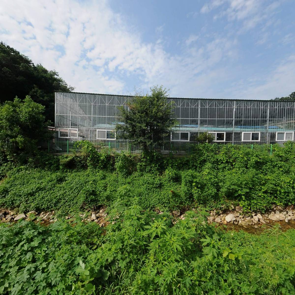 (주)일신분체