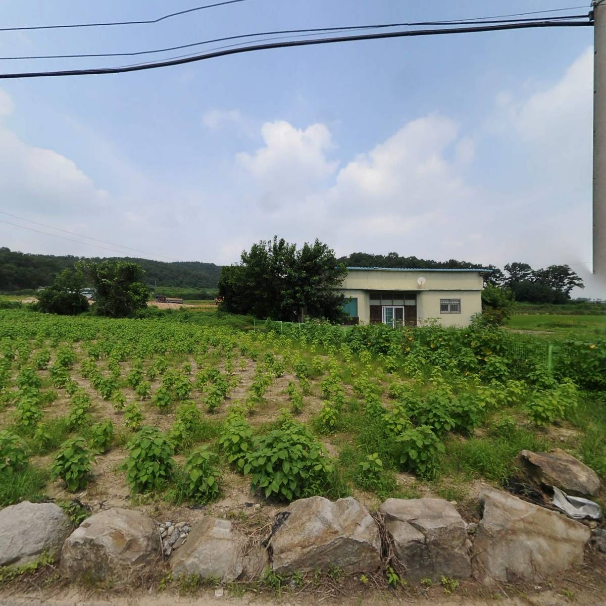 （합자）대지상사