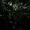 청솔매점_3
