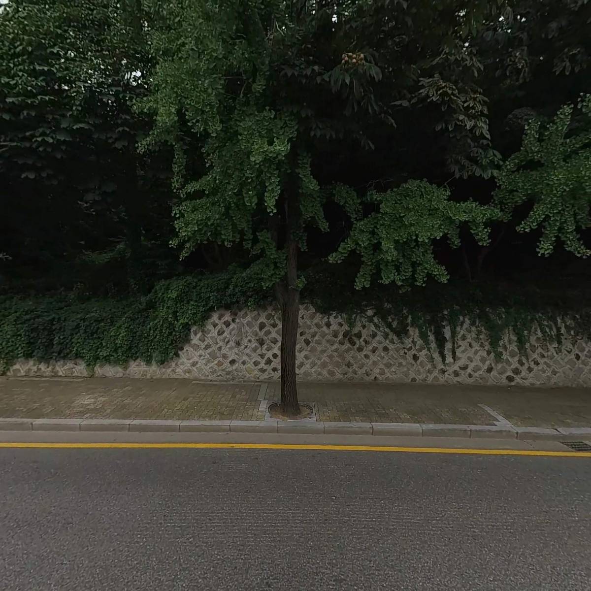 에스엠제이컴퍼니