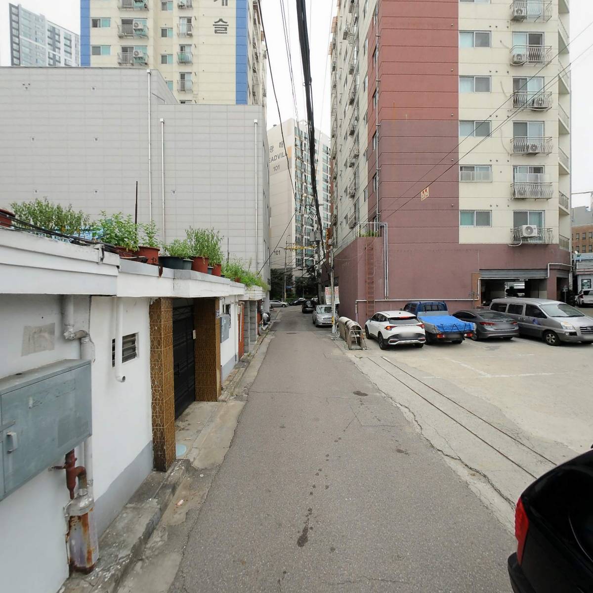 뉴진성자동차용품점_2