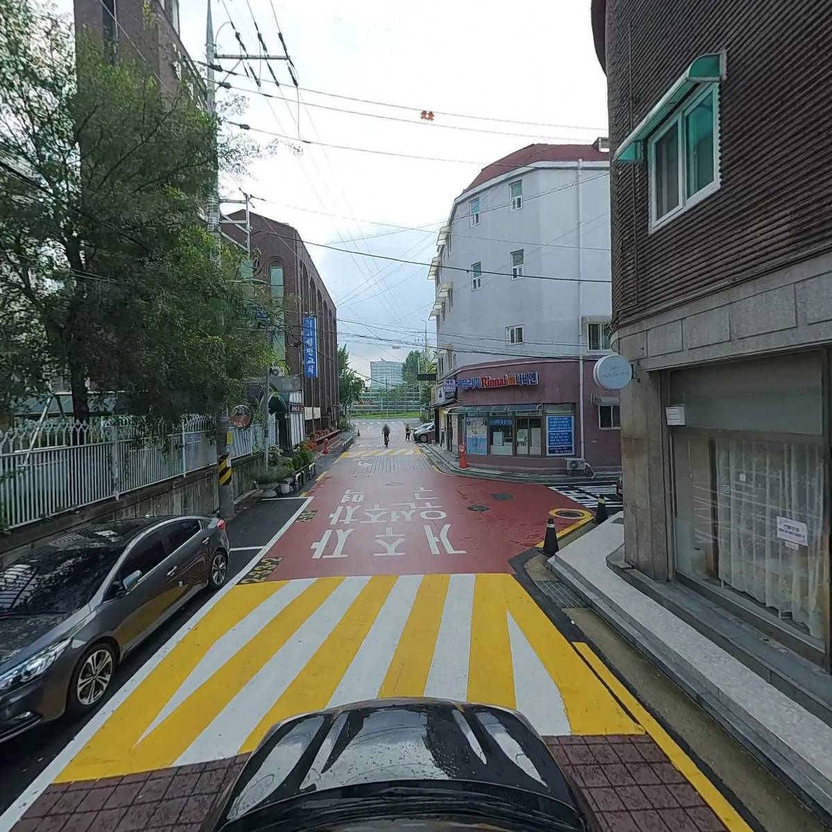 디온_4