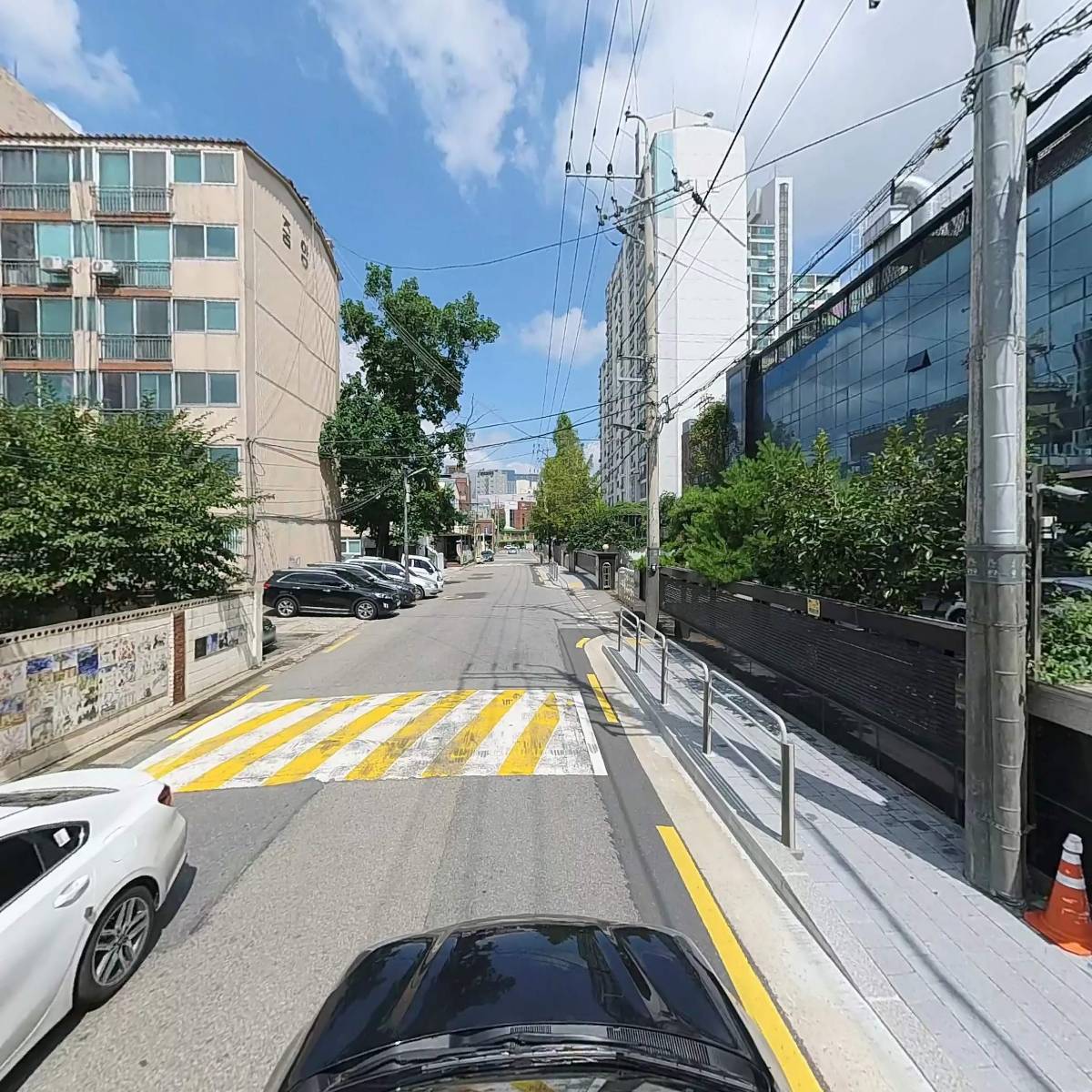 팜스코리아_4