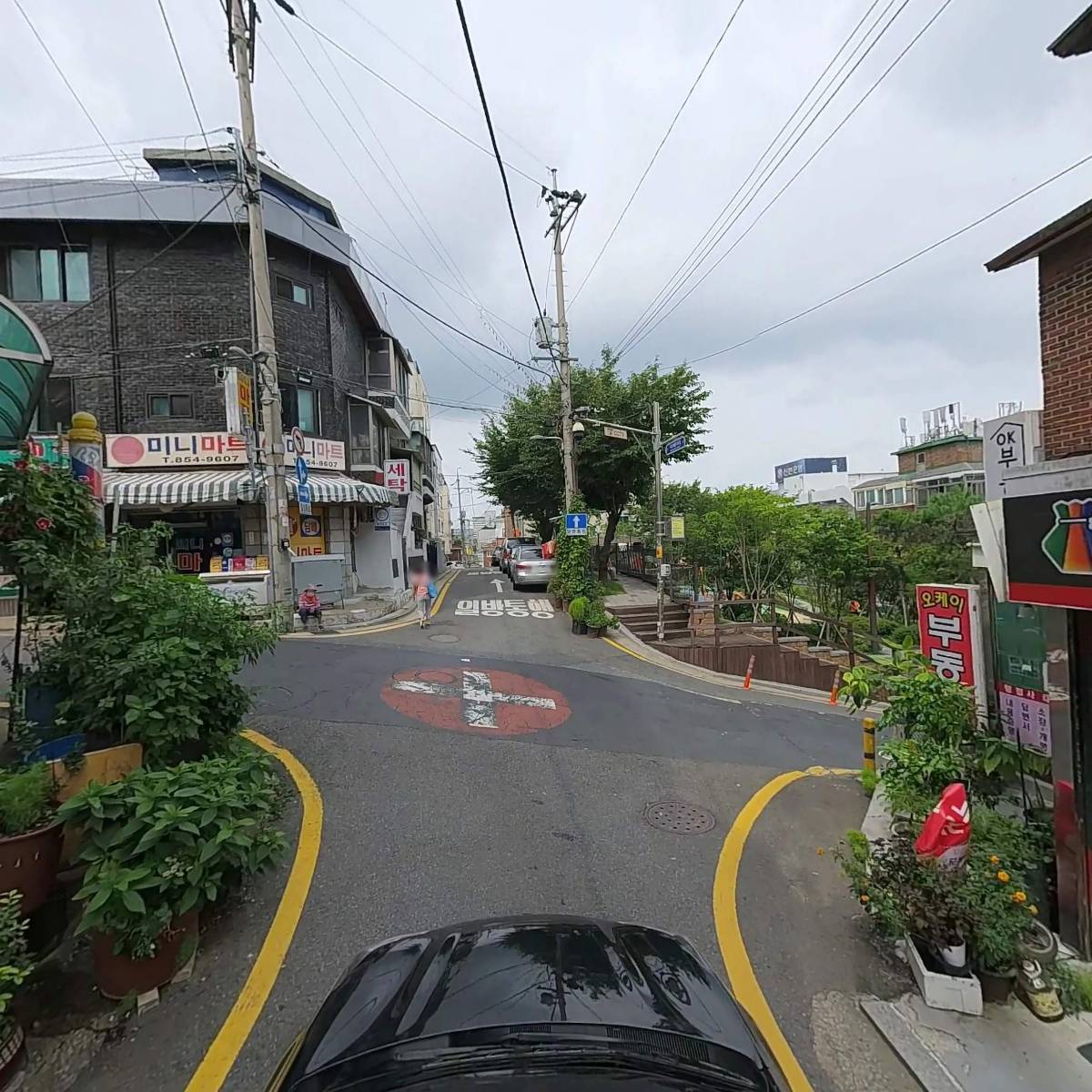 딜리온_4