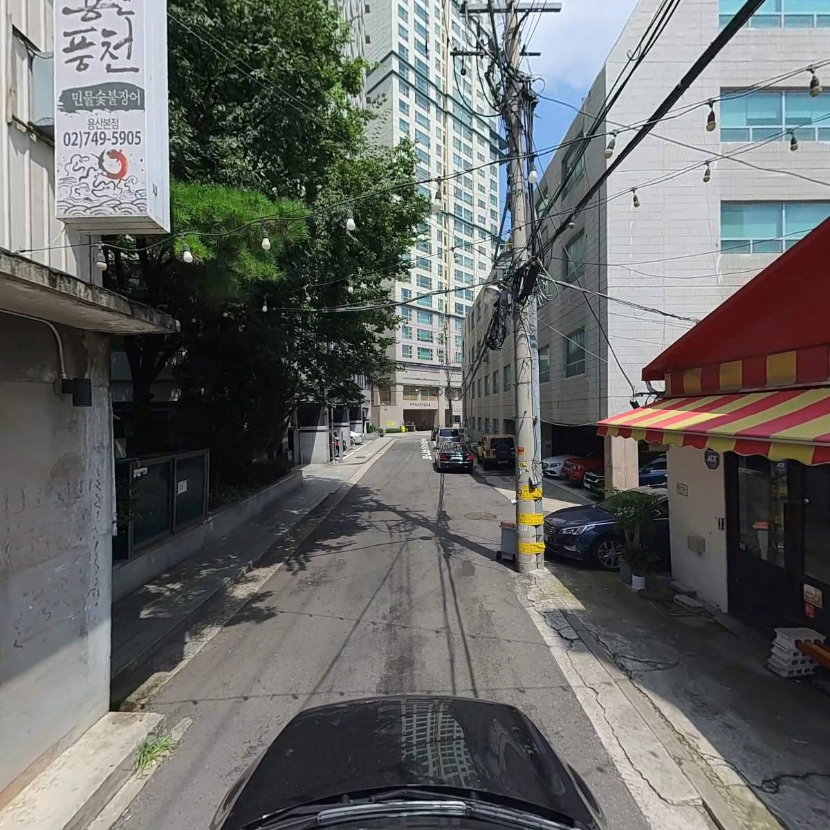 금나막스_4