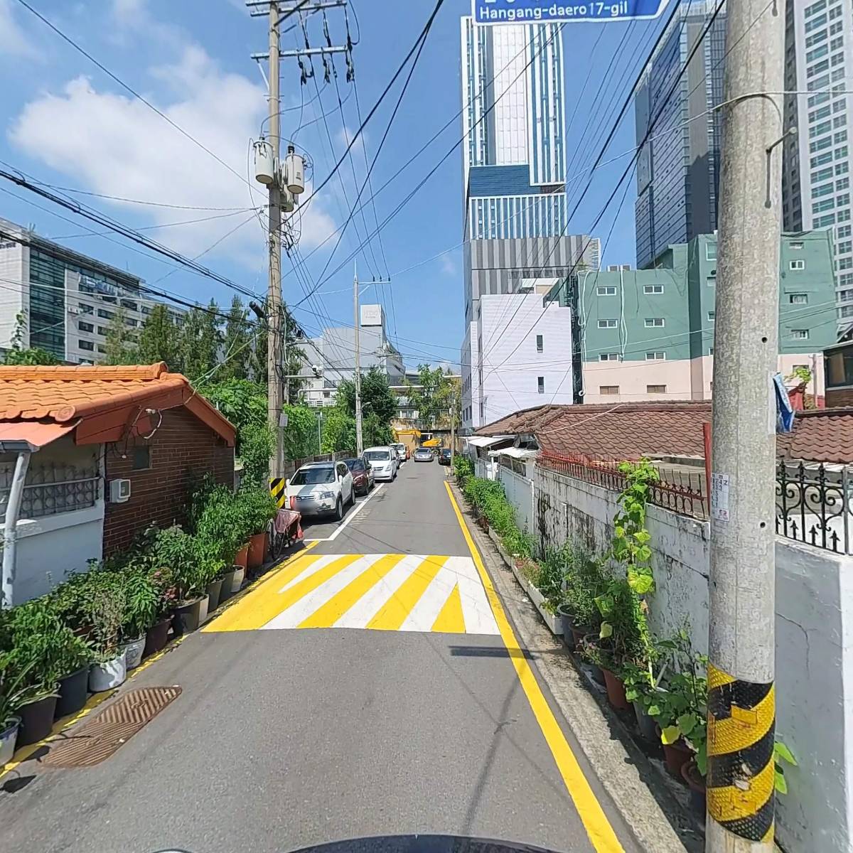 올딧세(ALLDSE)_2