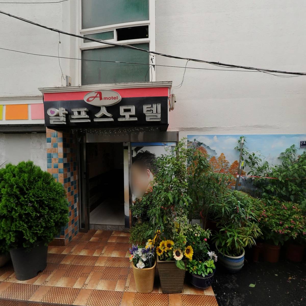 (주)에스제이피