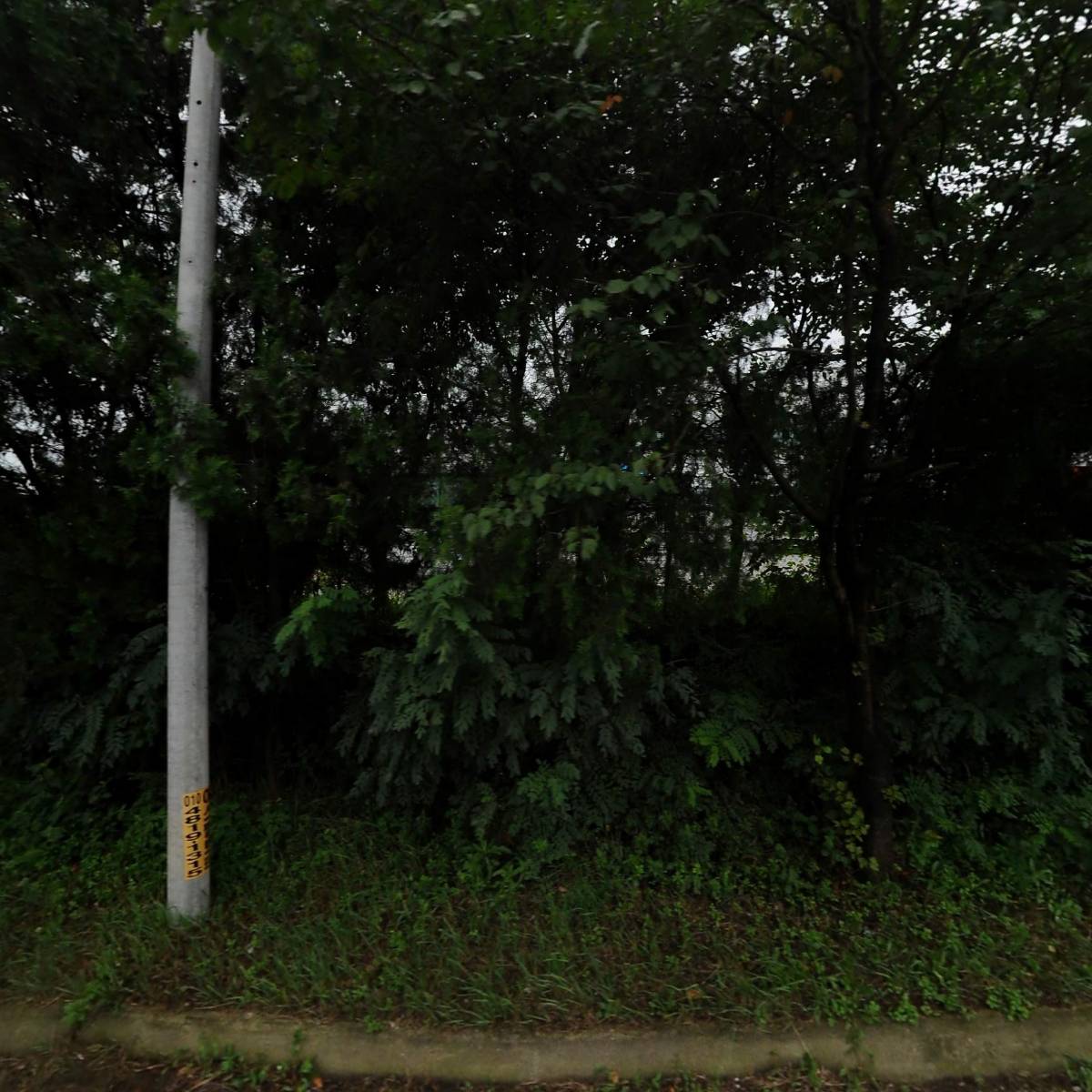 디프코리아 본점