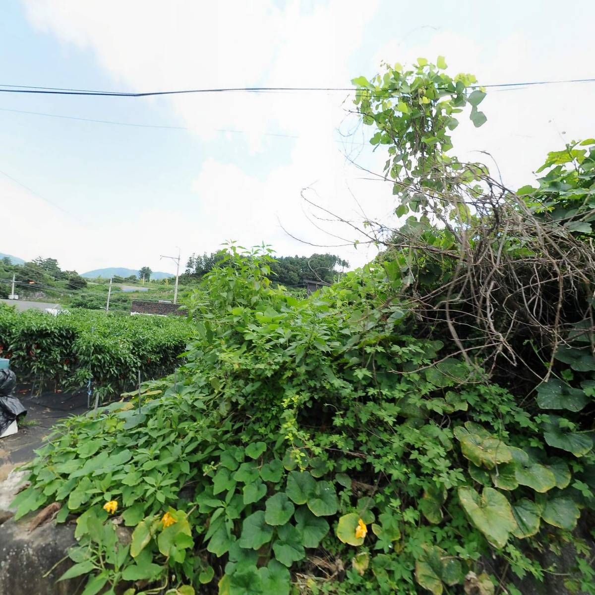 농업회사법인 생제비주식회사_3