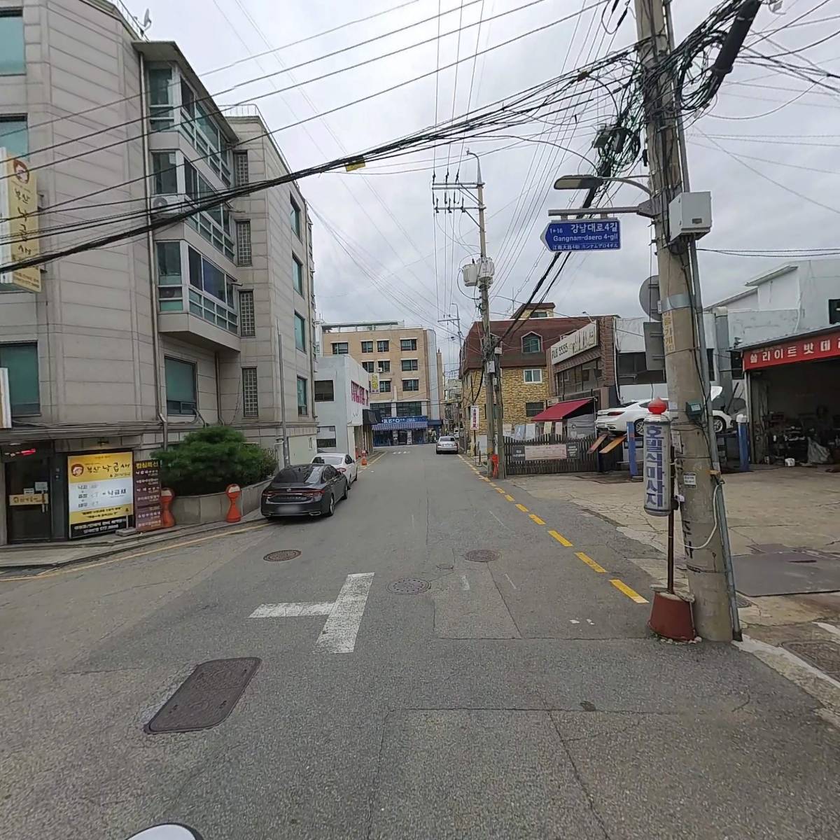 서담꽃_2
