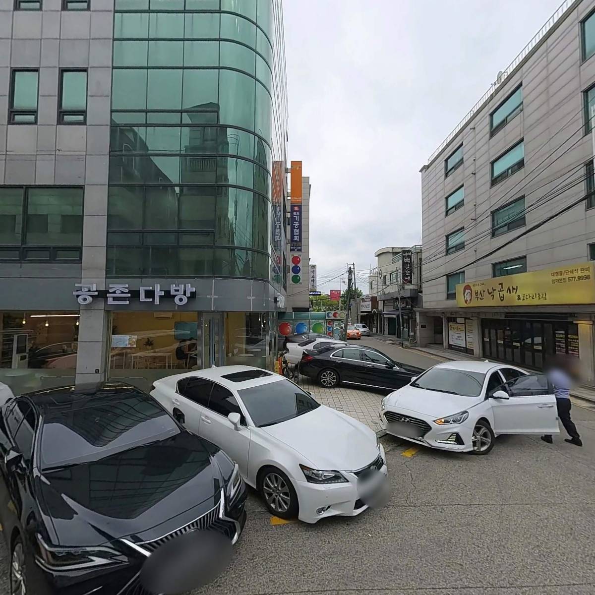 서담꽃