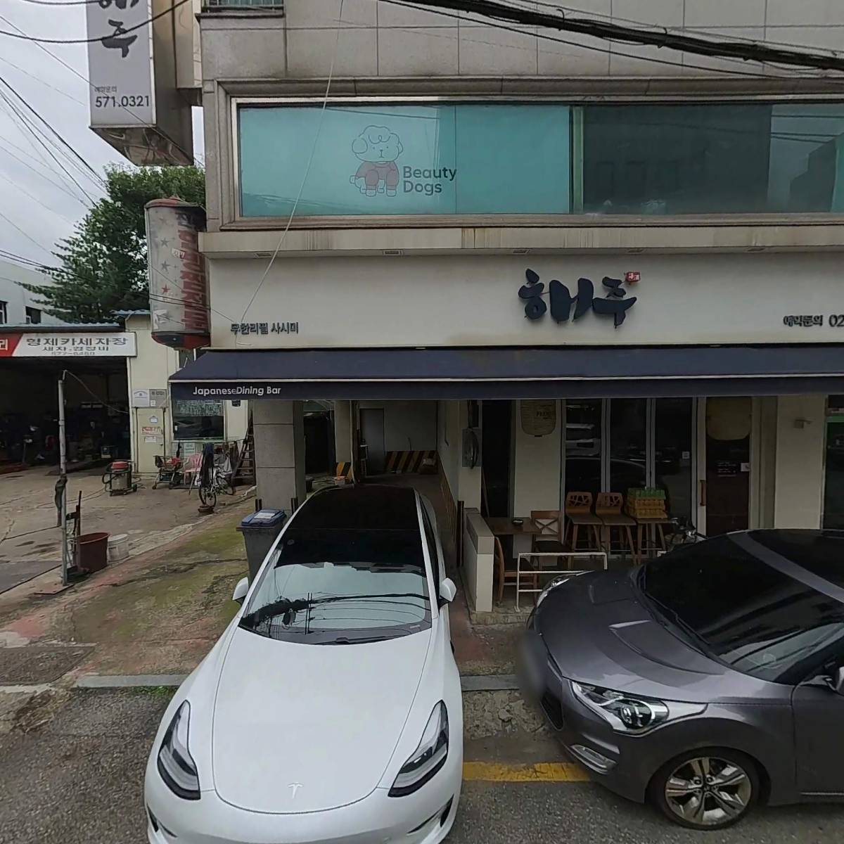 서담꽃_3