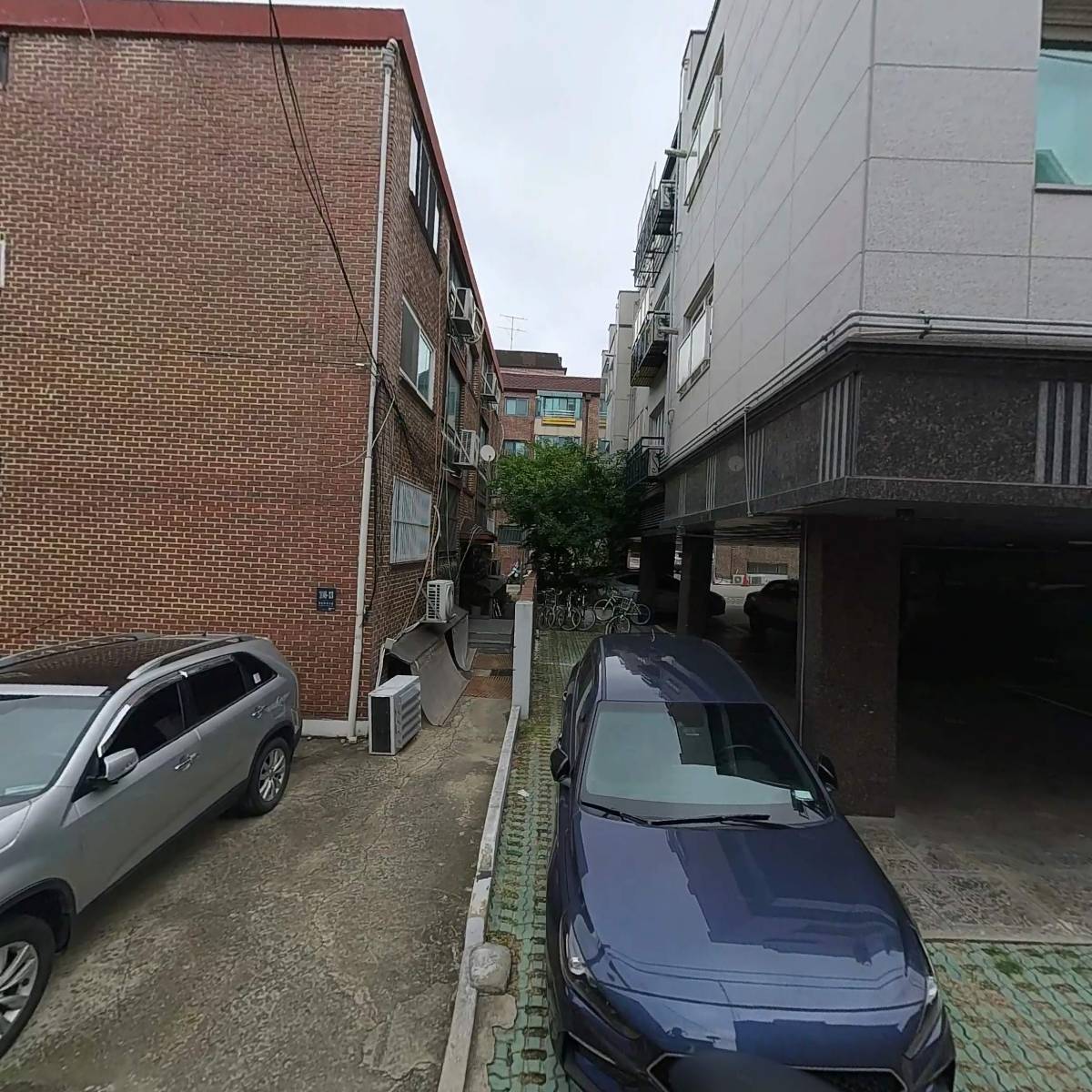 나비꽃자재