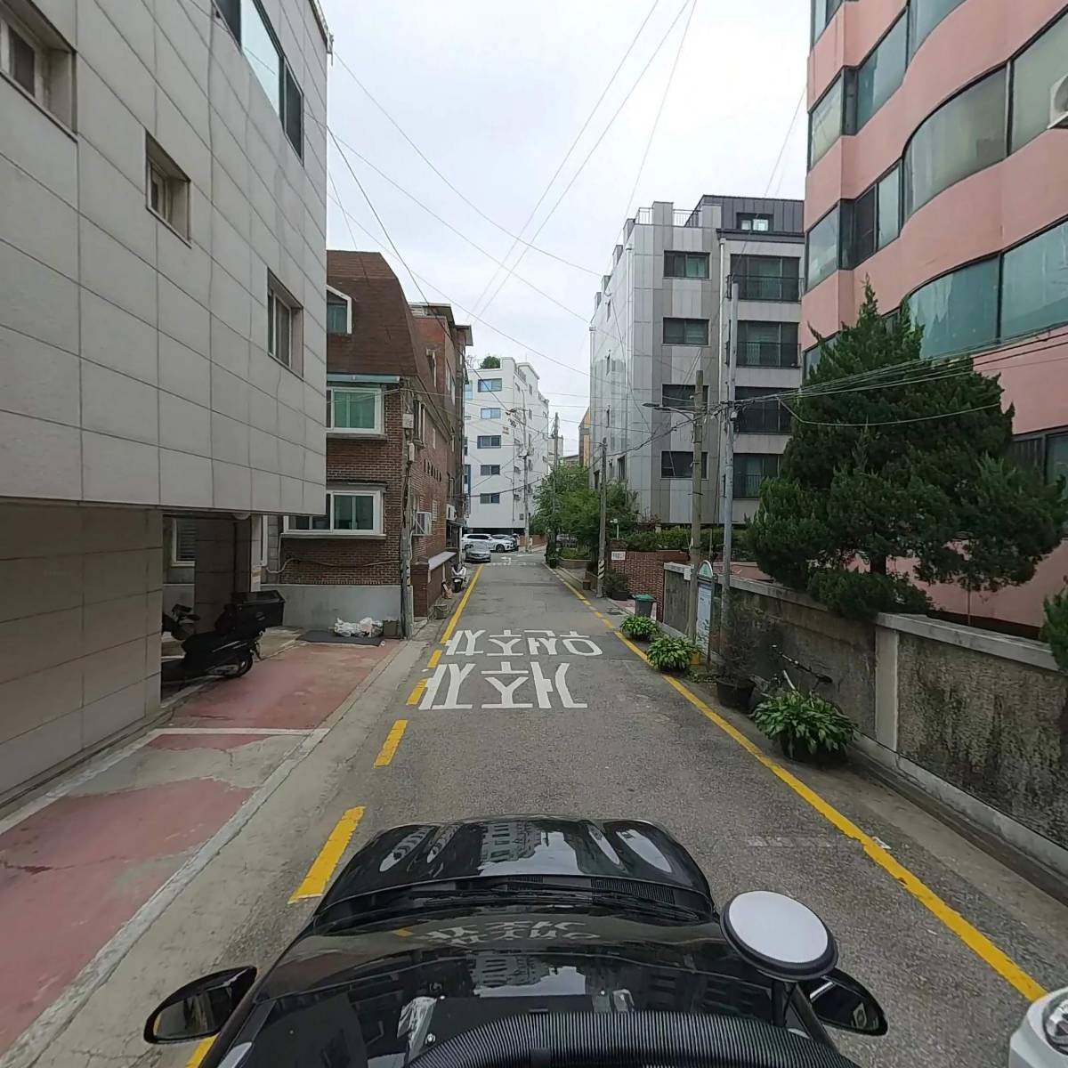 라피도시계_4