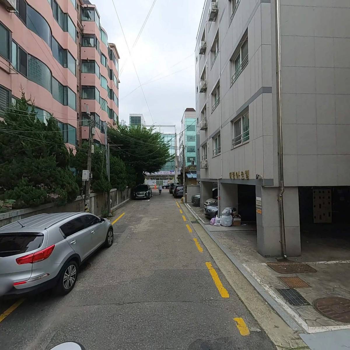 라피도시계_2