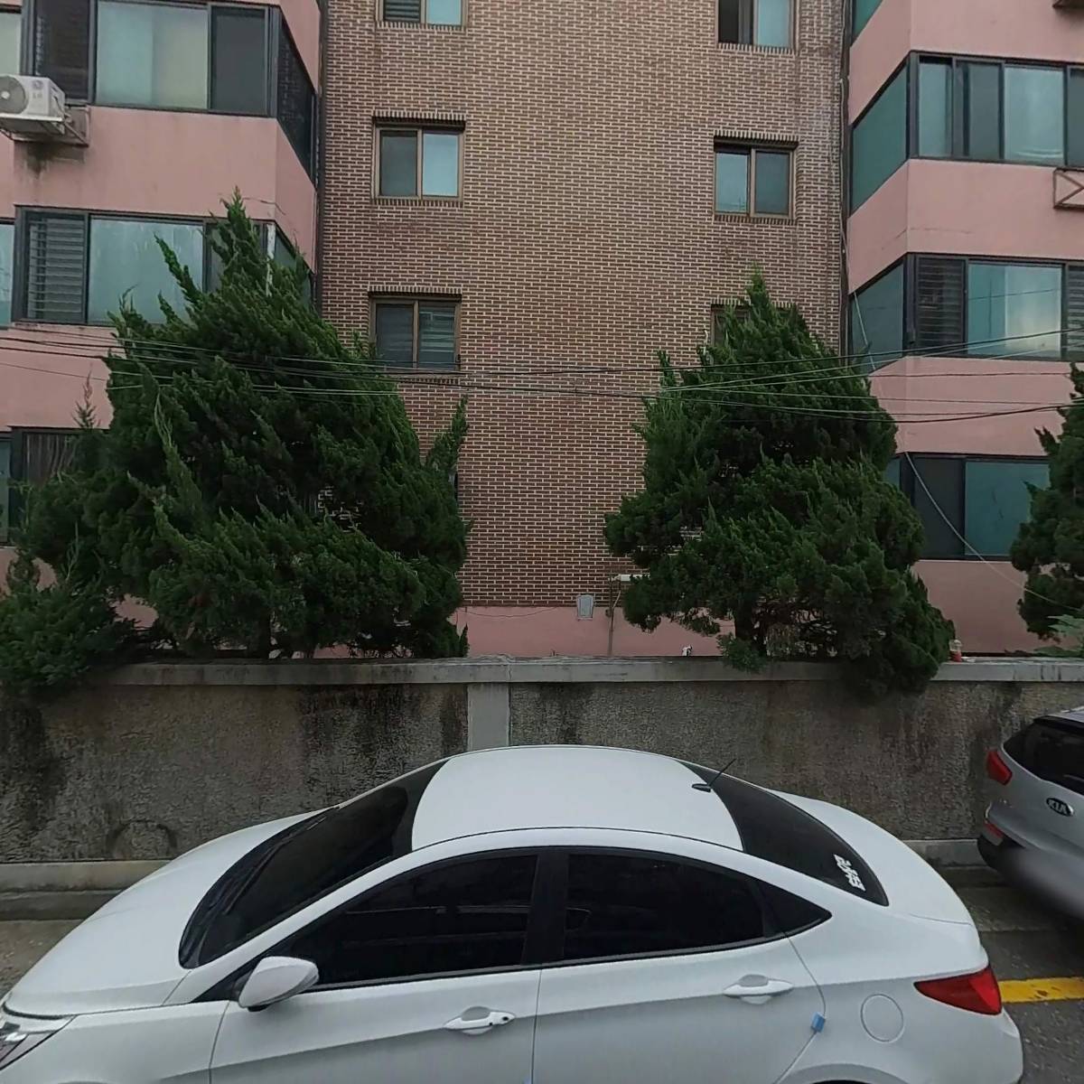 라피도시계
