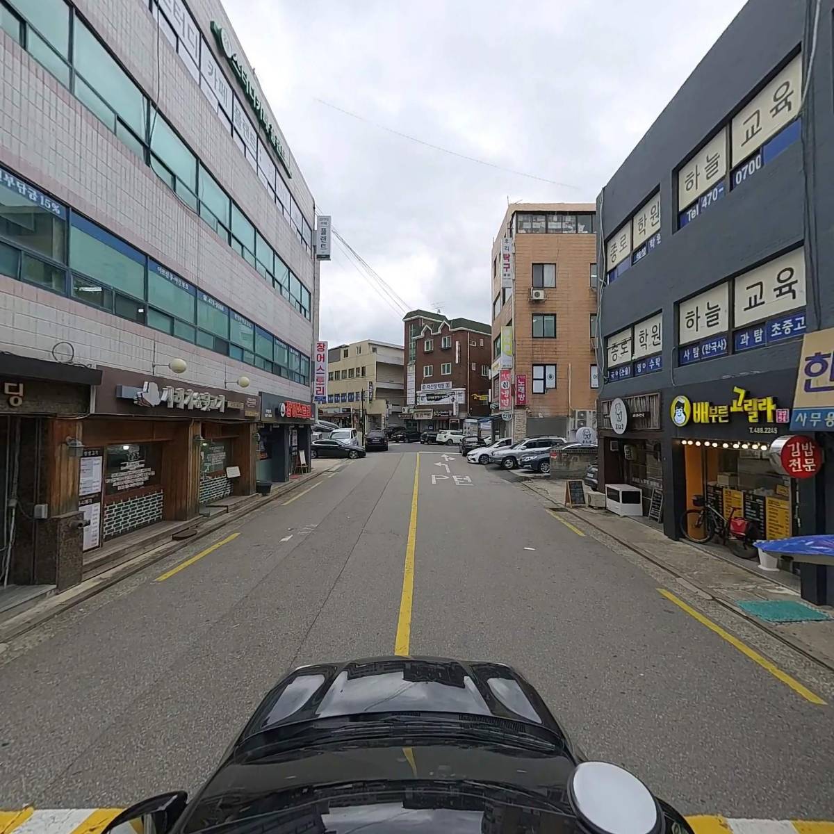 배부른고릴라_4