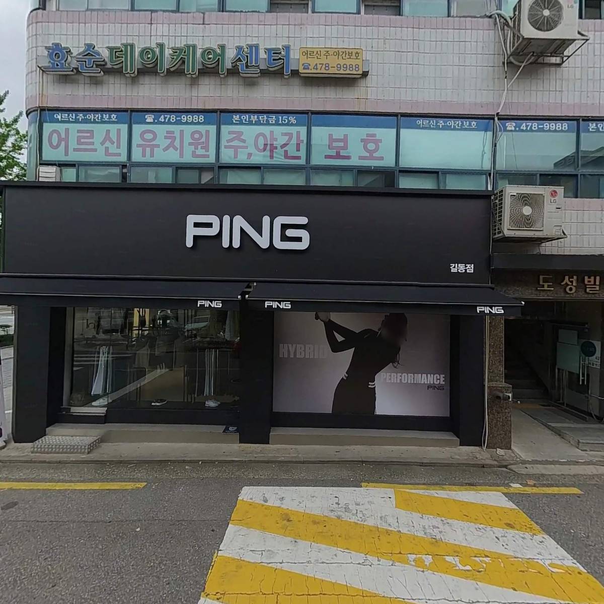 배부른고릴라_3