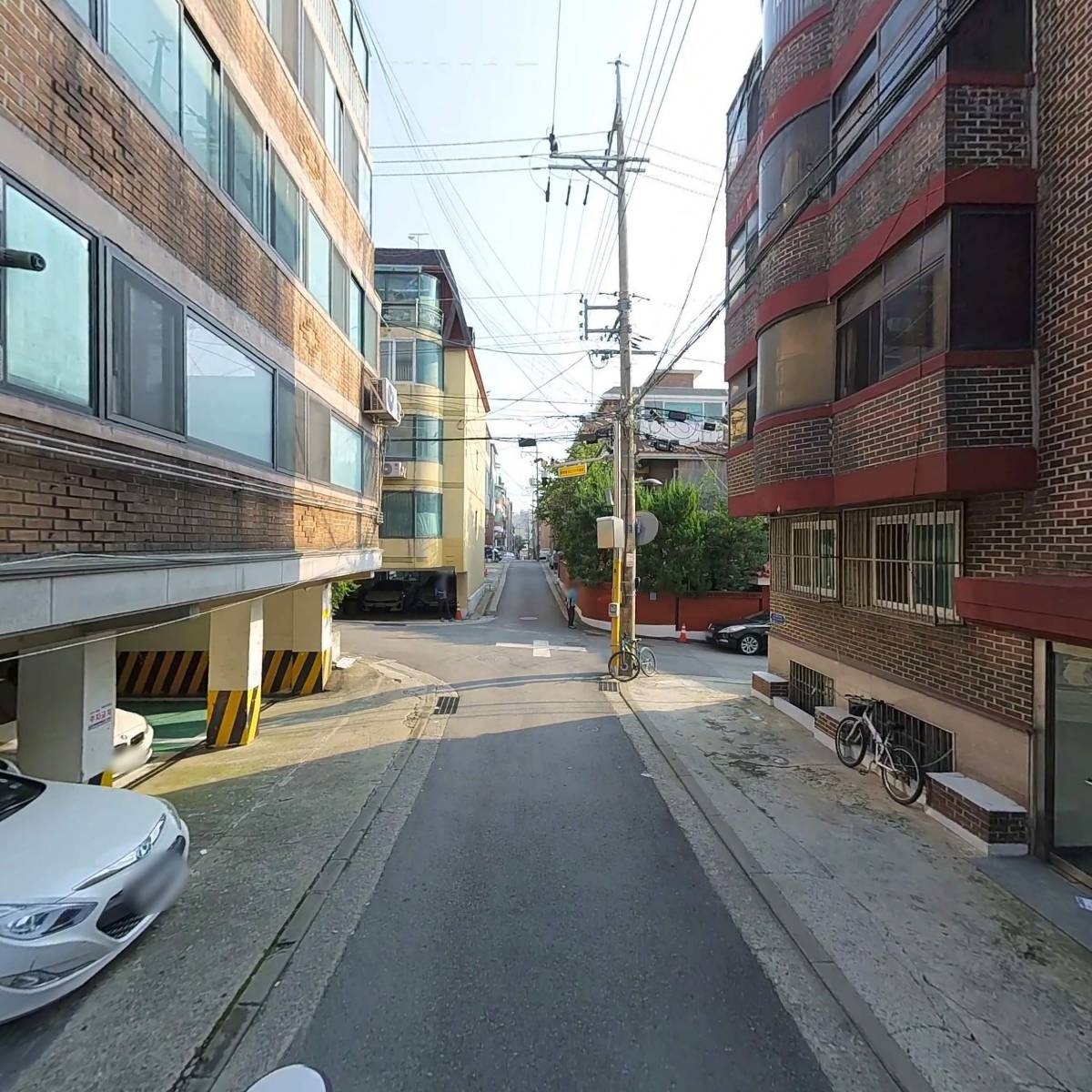 보미펫_2