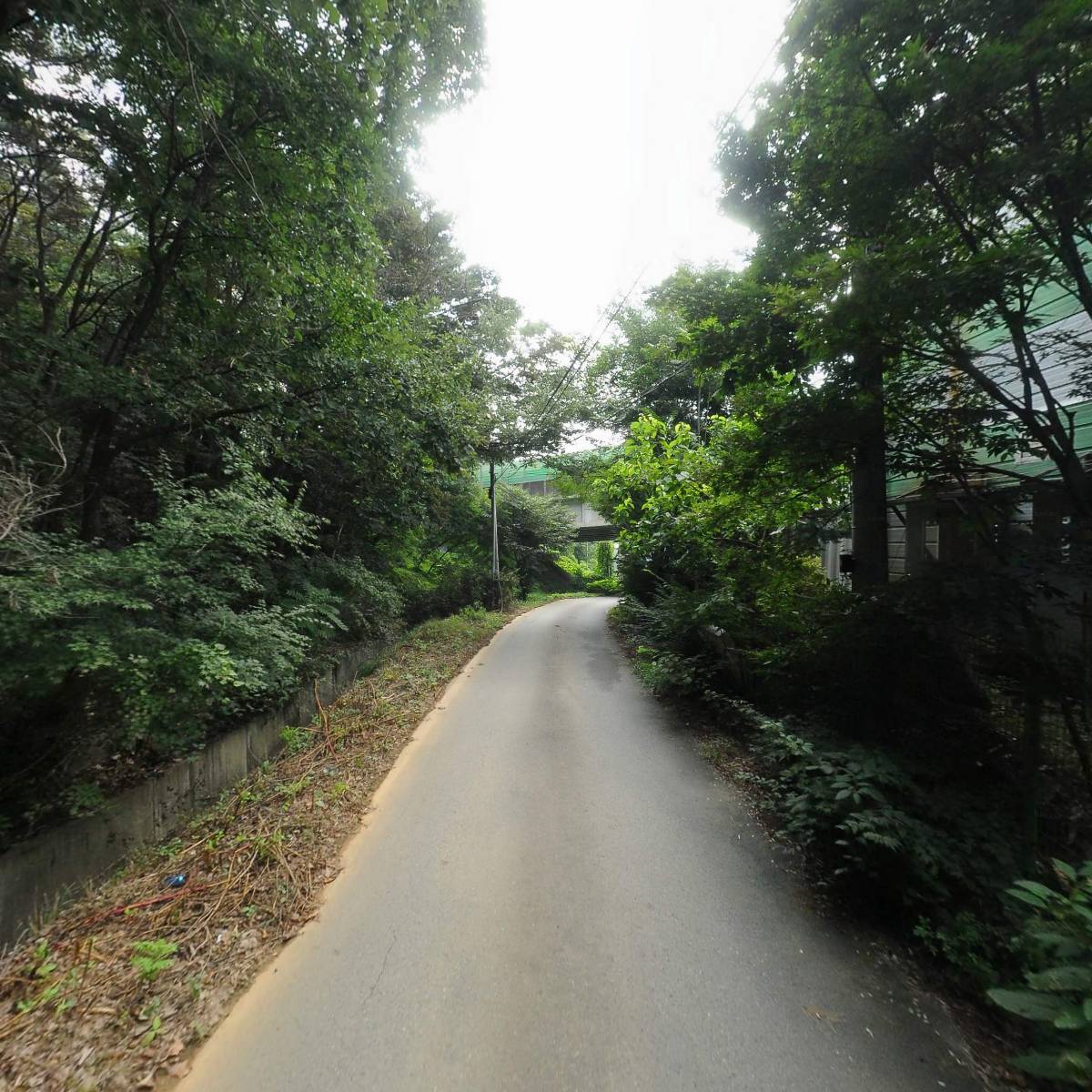 디엔케이산업_2