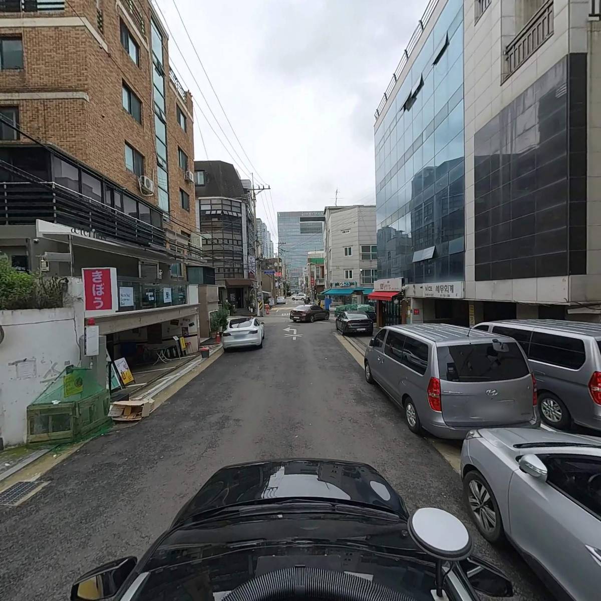 리코코_4