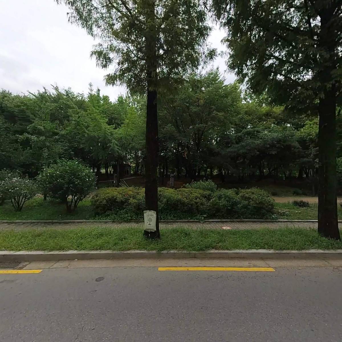 한국프레스플라워