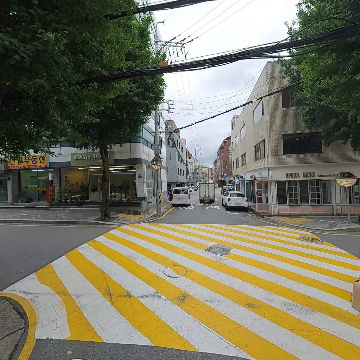 (주)코룩스_2