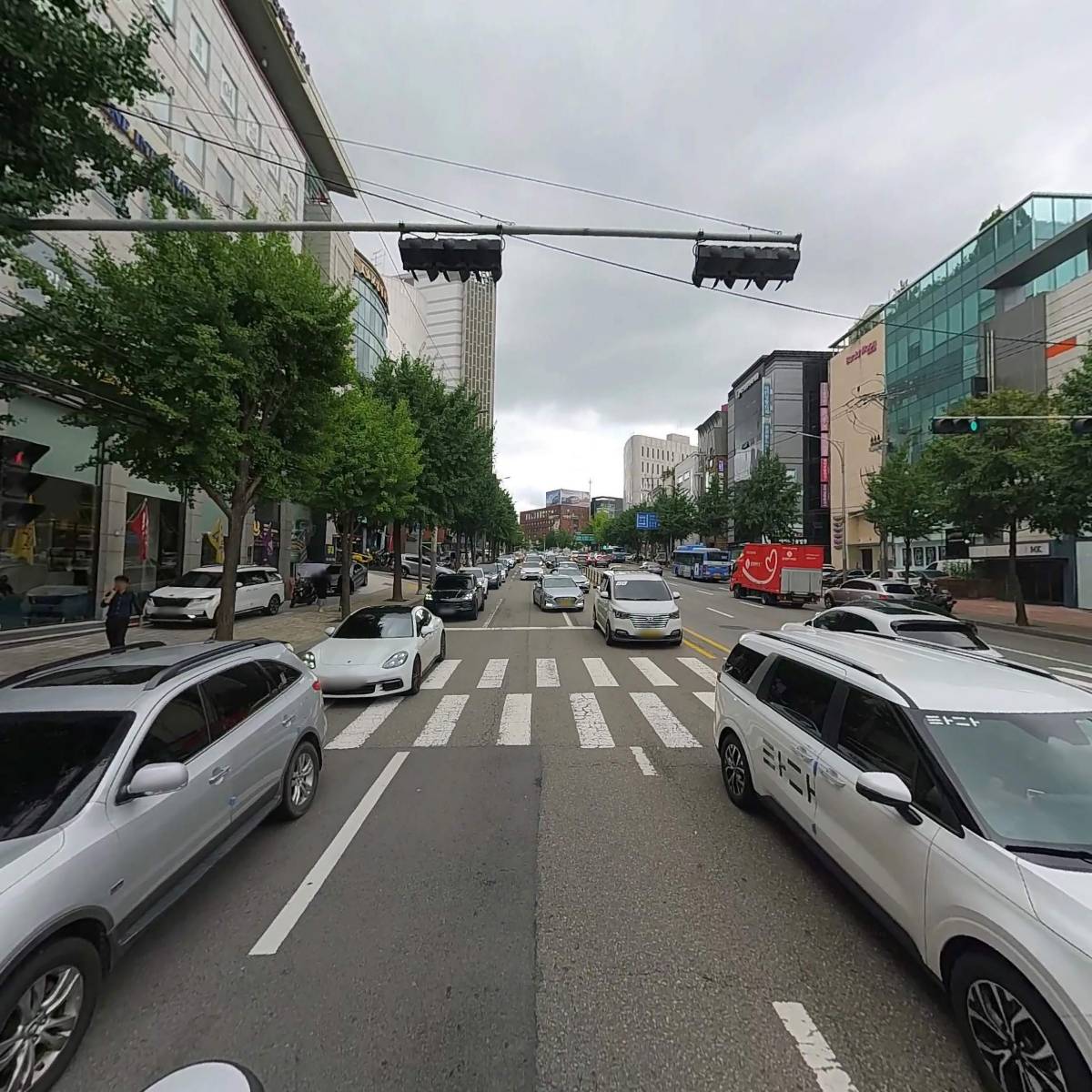 팔일오 의원_2
