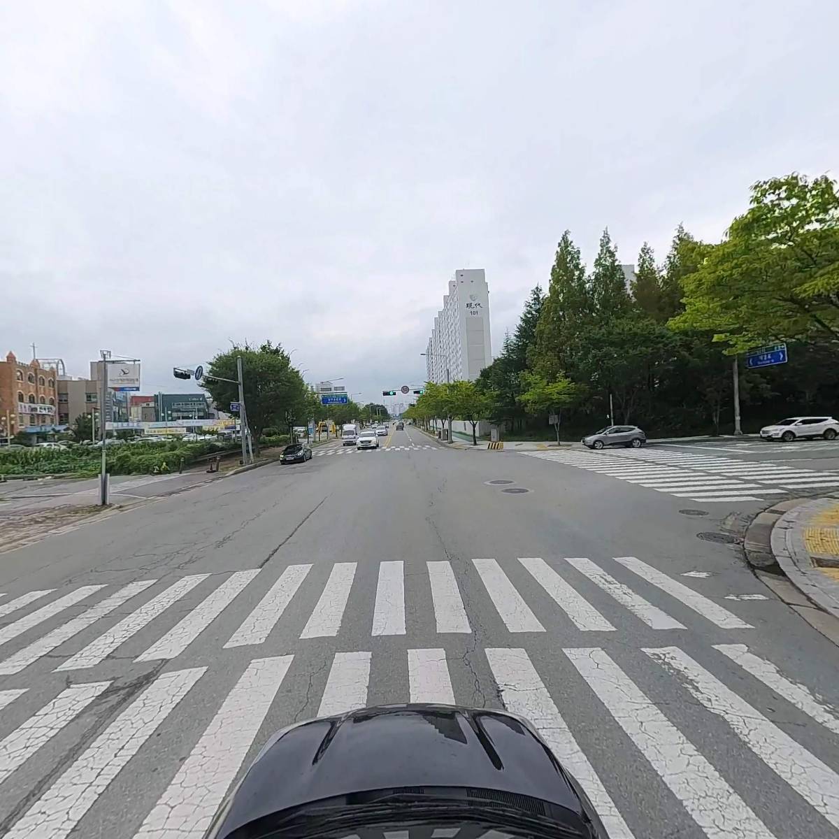 우리들목장 빛고을흑염소_4