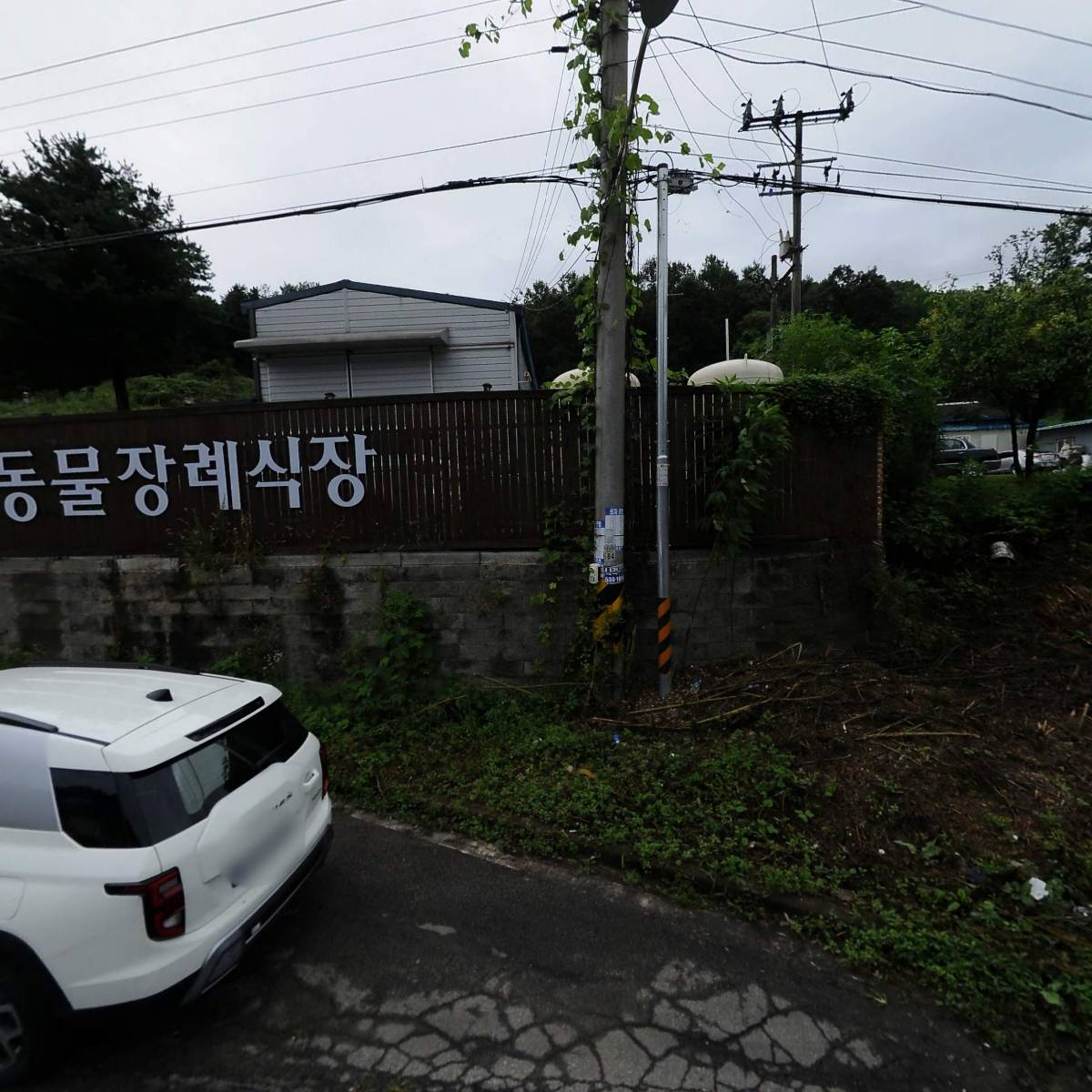 스타펫