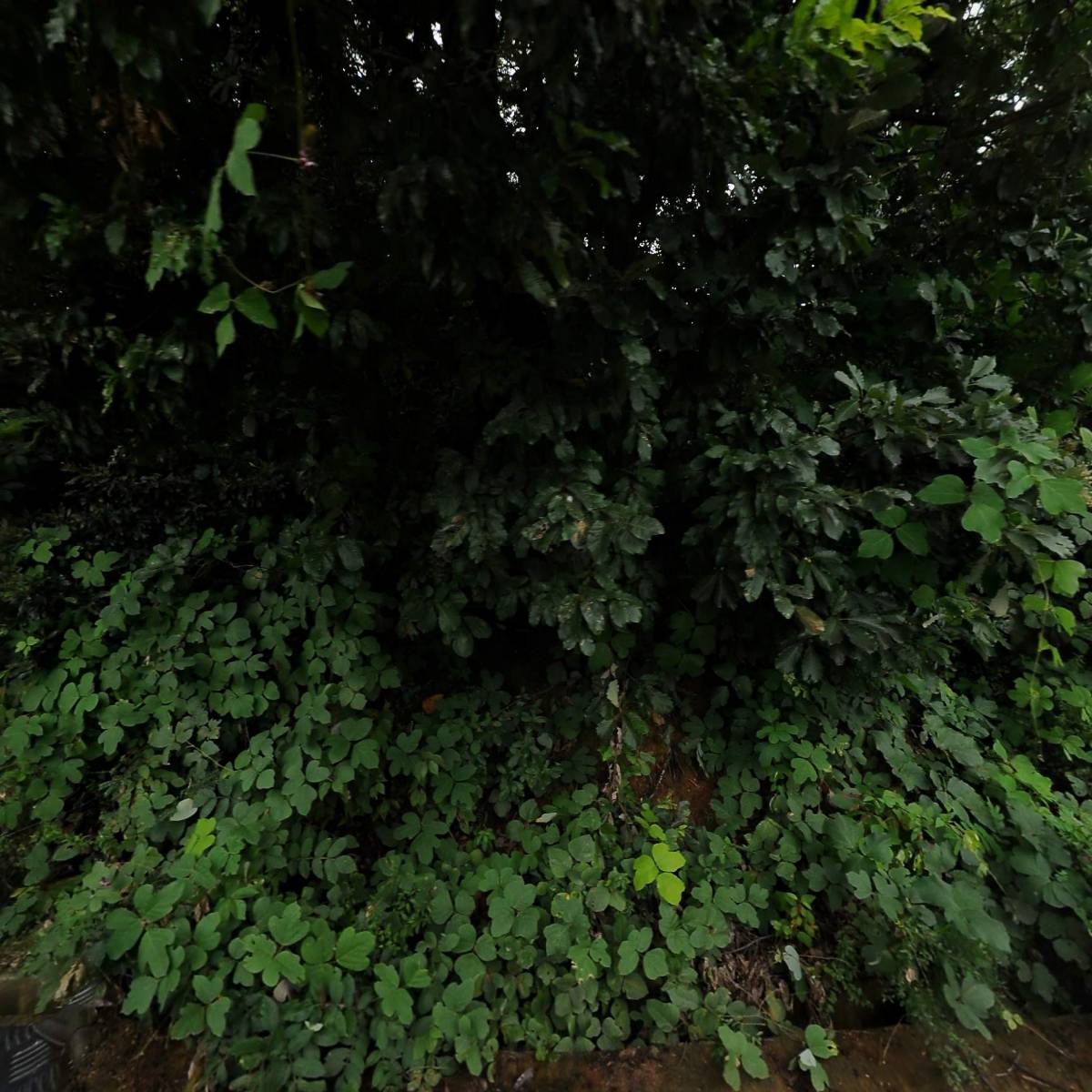 주식회사 보화