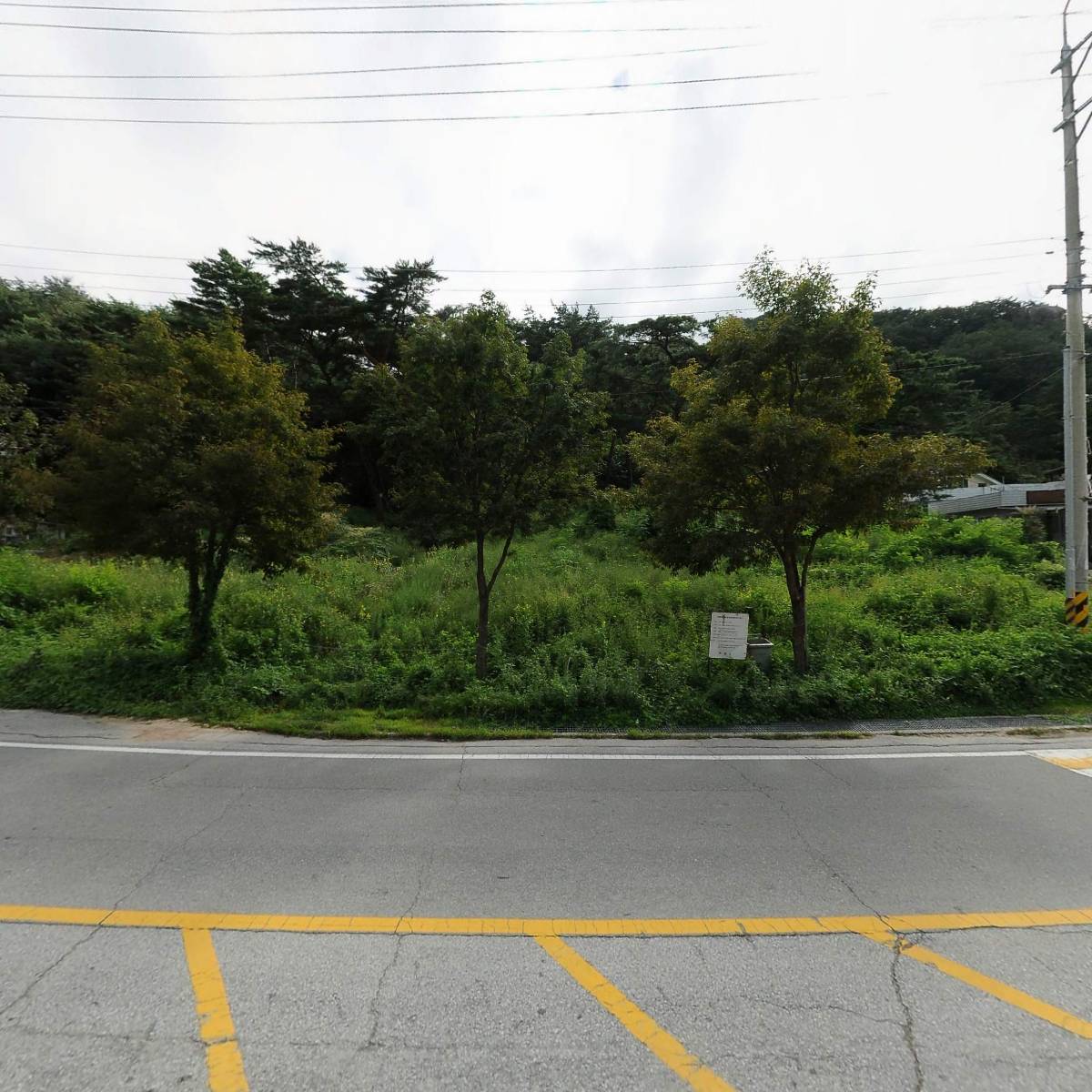 명가쌍영해장국_3