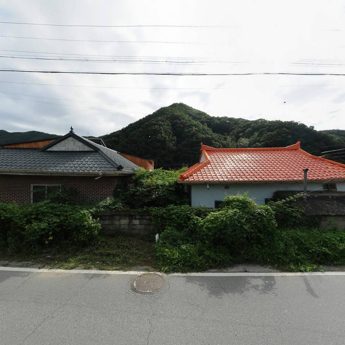 백두사료_3
