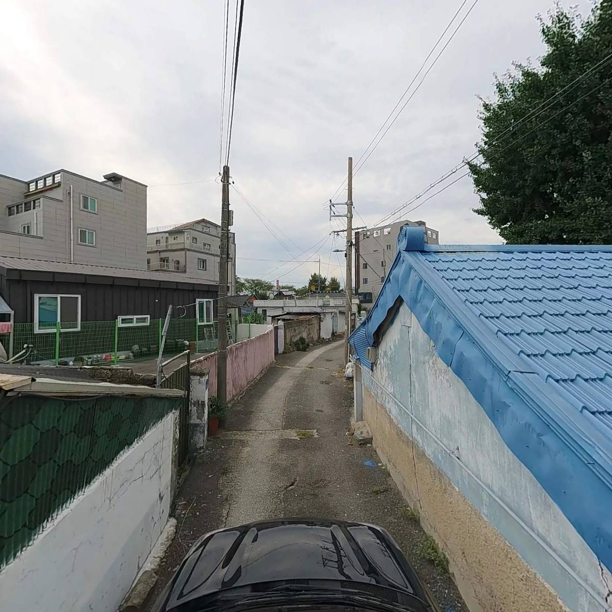 상록수편백나무공방_4