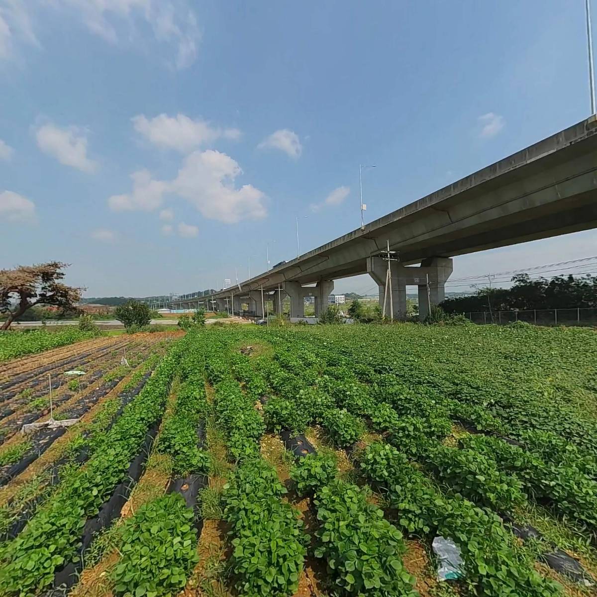 태승정공(주)